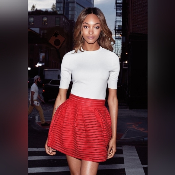 Express Bright Red Mini A-Line Skirt Pleated Mesh W/ Lining Dior Twinsie Sz 00 - Picture 11 of 11